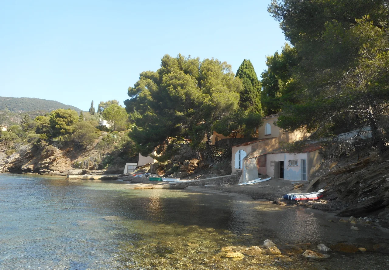 The Petit Port cove beneath the pines in Le Canadel